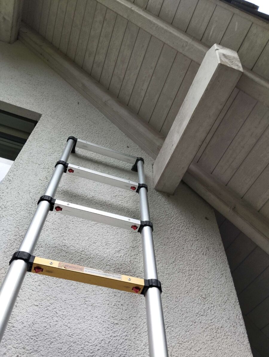 wespennest_entfernen