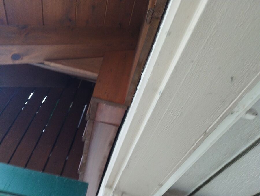 wespennest_entfernen