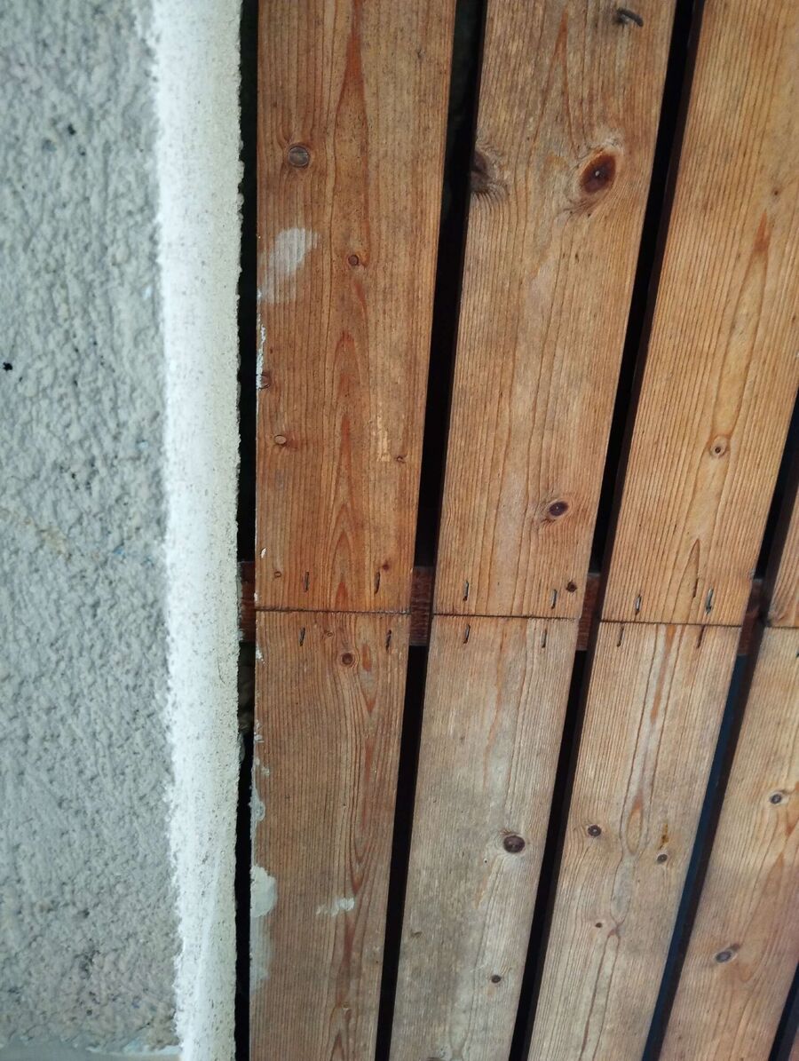 wespennest_entfernen