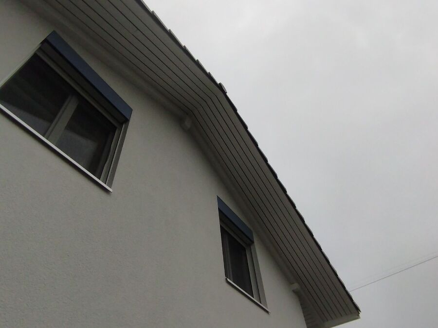 wespennest_entfernen