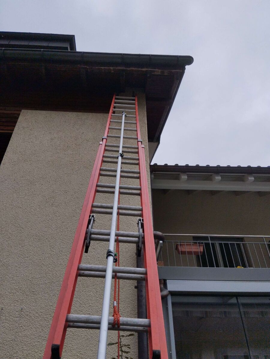 wespennest_entfernen