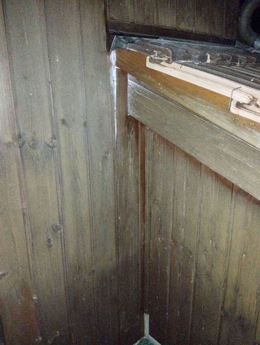 wespennest_entfernen