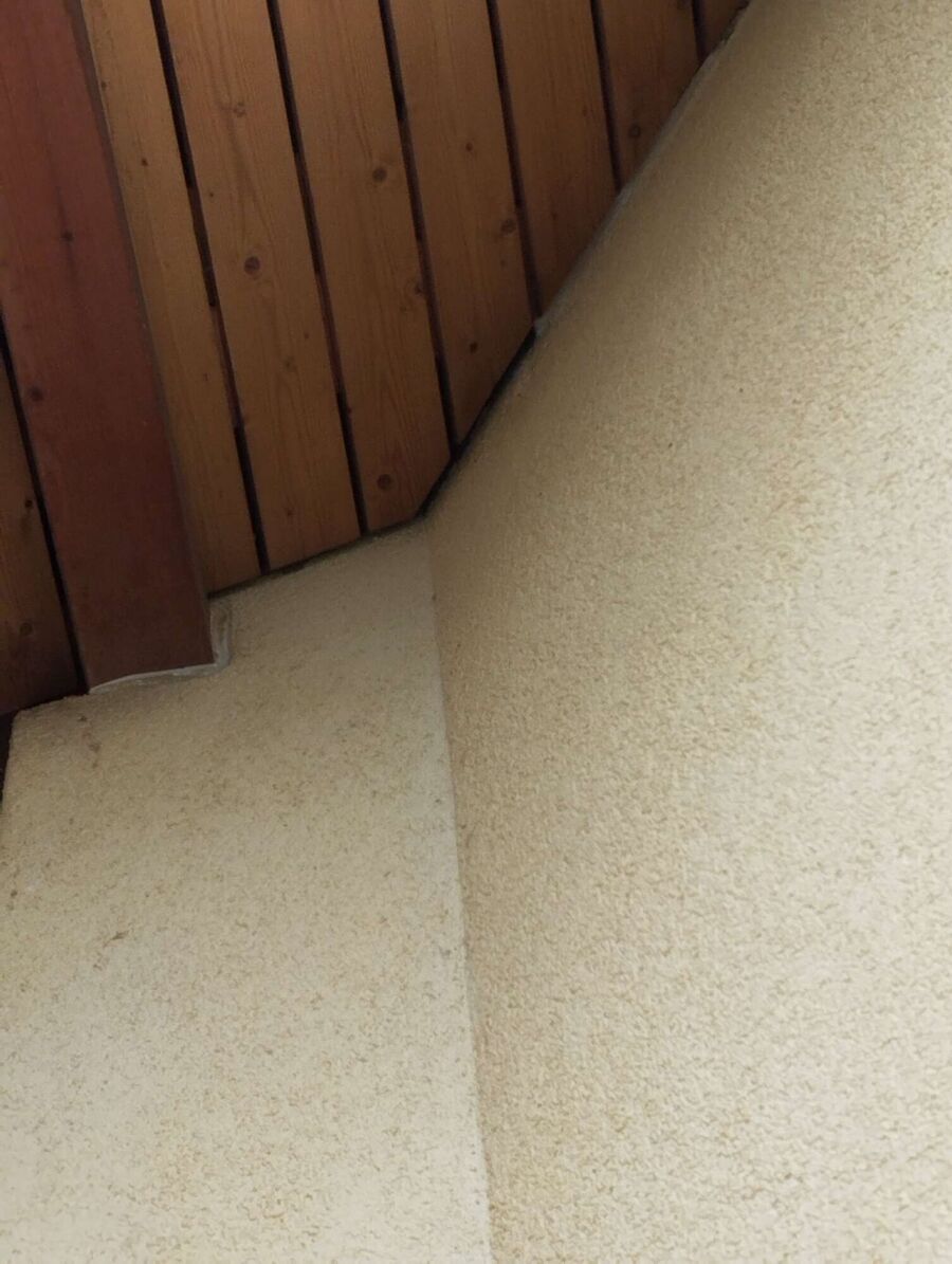 wespennest_entfernen