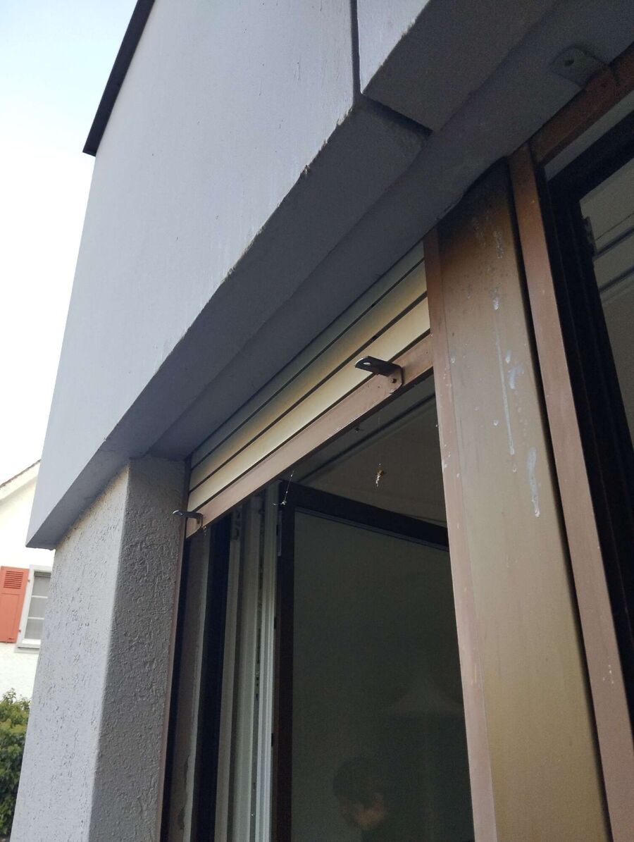 wespennest_entfernen