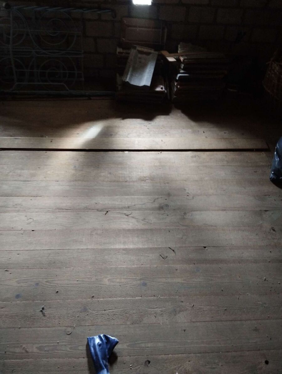 wespennest_entfernen