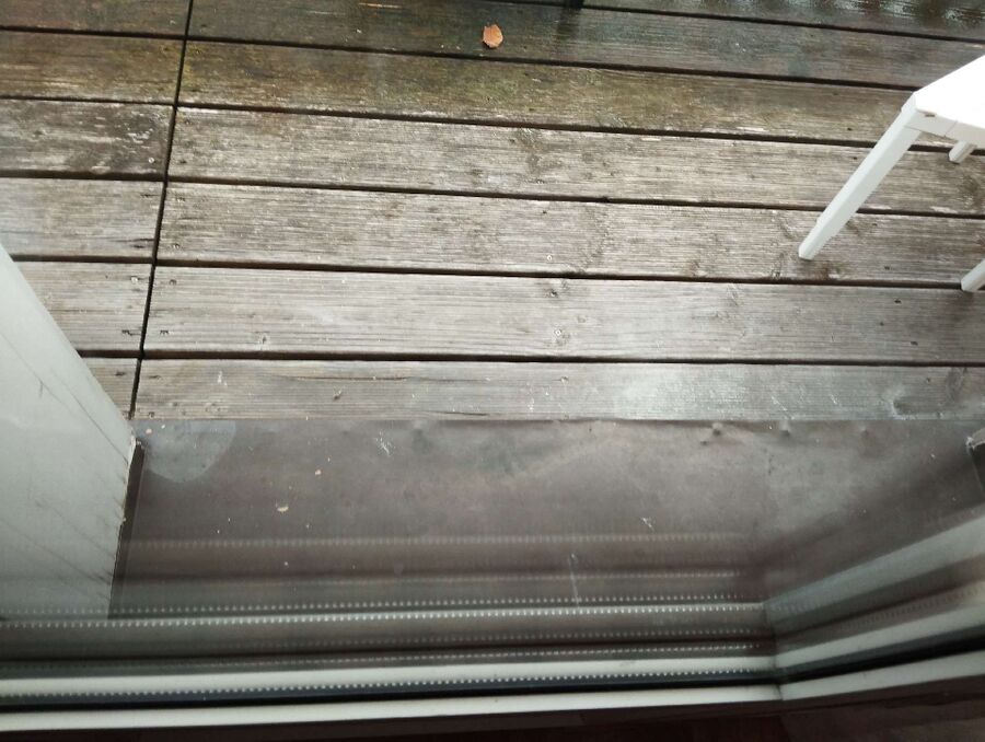 wespennest_entfernen