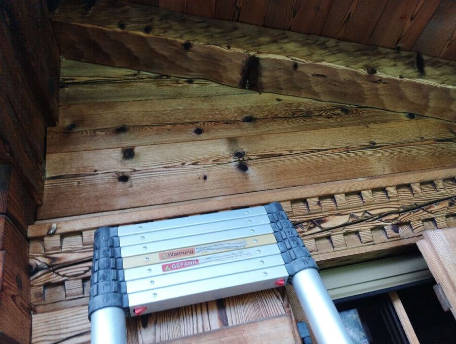 wespennest_entfernen