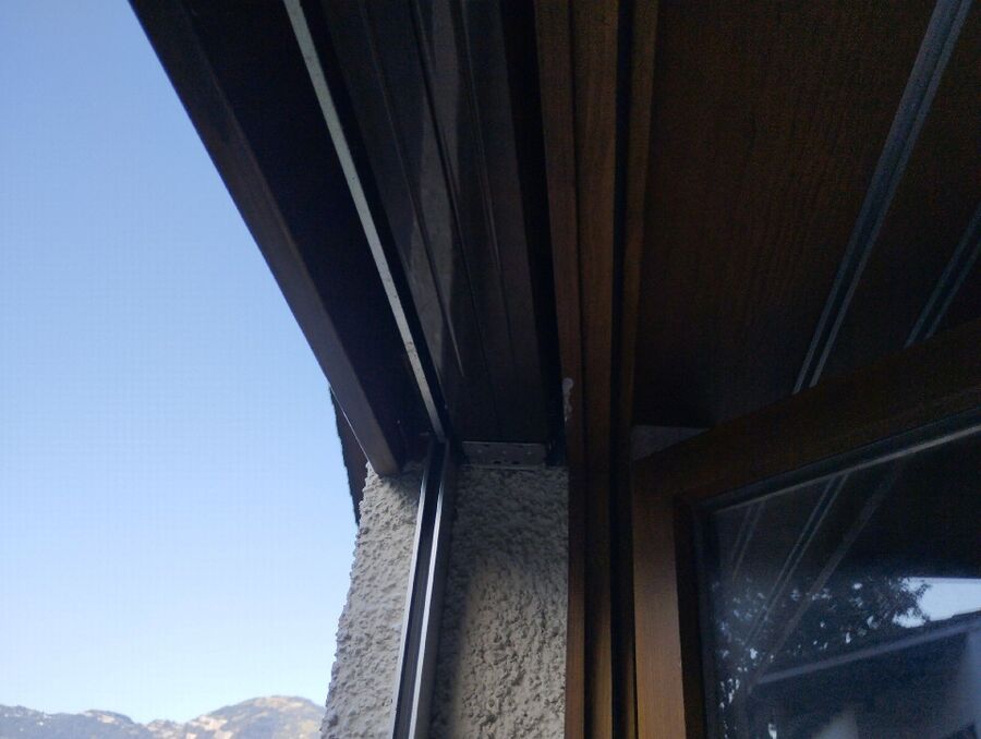 wespennest_entfernen