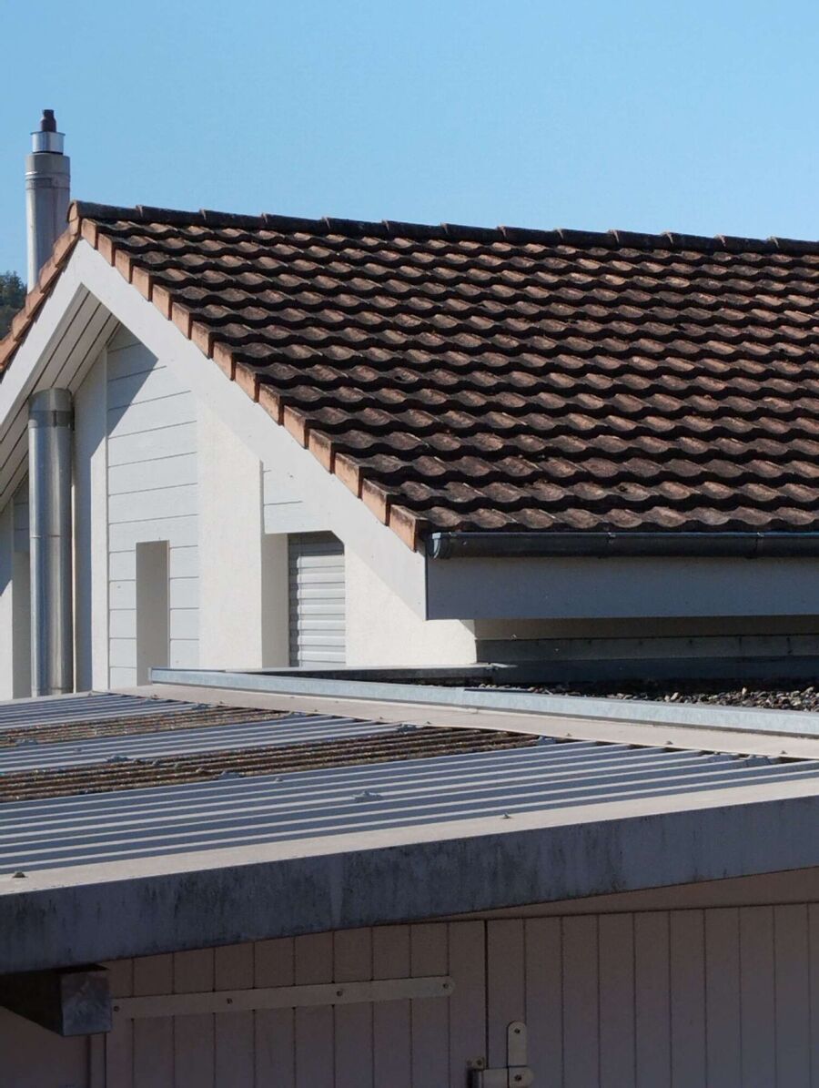 wespennest_entfernen