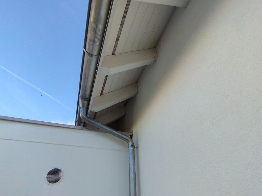 wespennest_entfernen