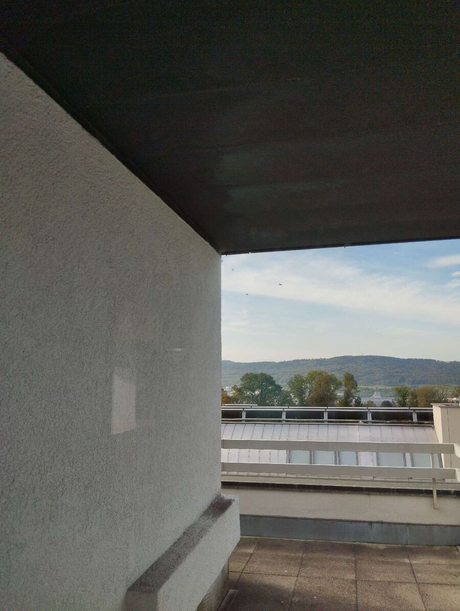 wespennest_entfernen