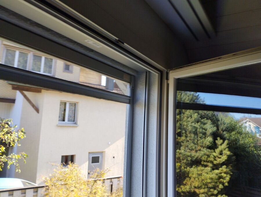 wespennest_entfernen