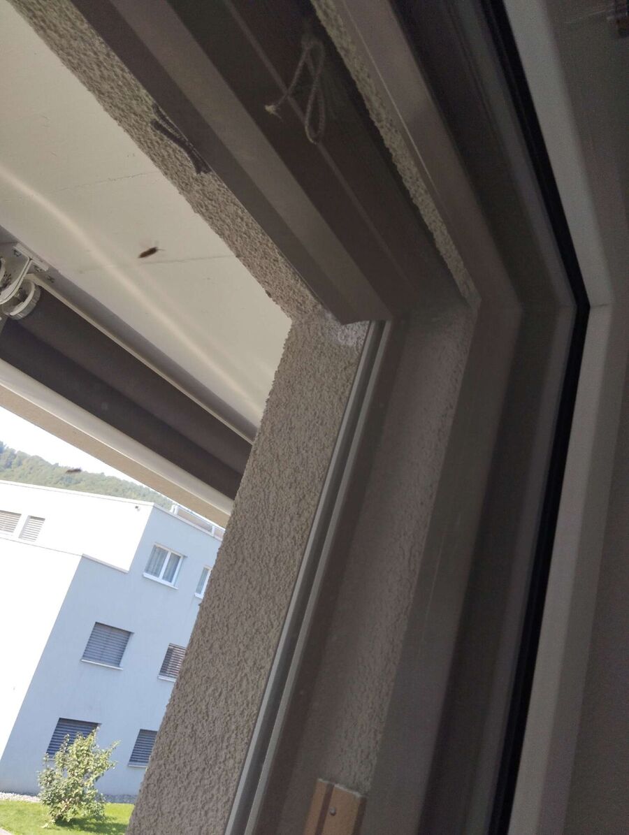 wespennest_entfernen