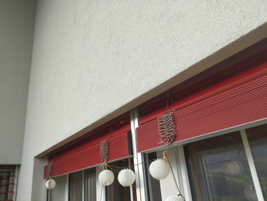 wespennest_entfernen