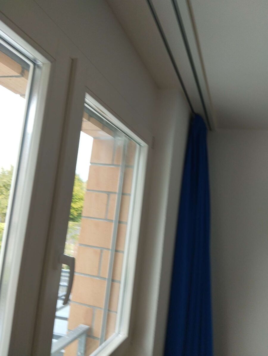 wespennest_entfernen