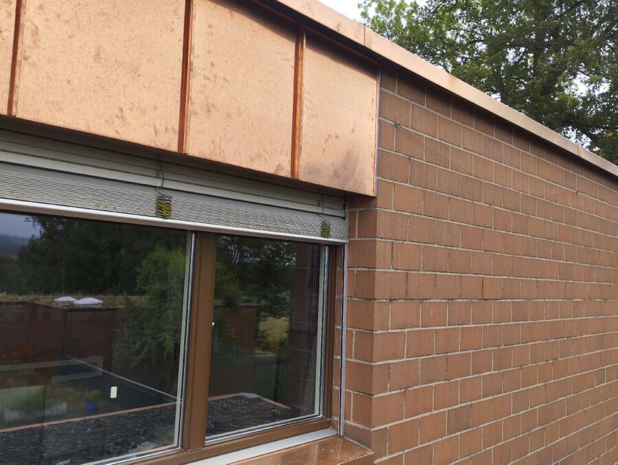 wespennest_entfernen