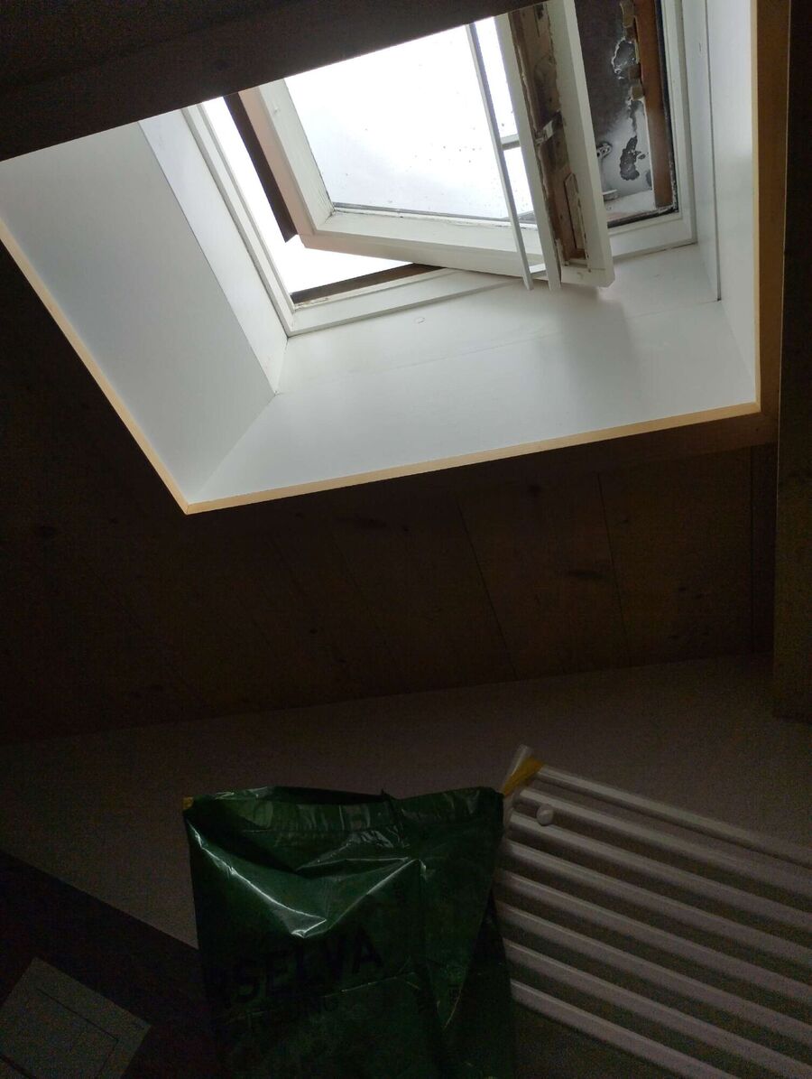 wespennest_entfernen