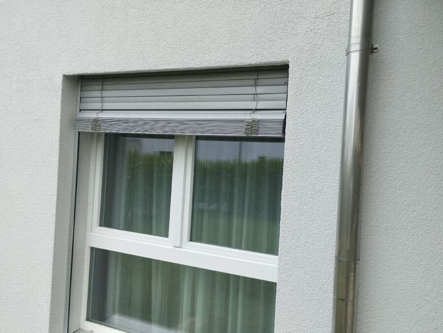 wespennest_entfernen