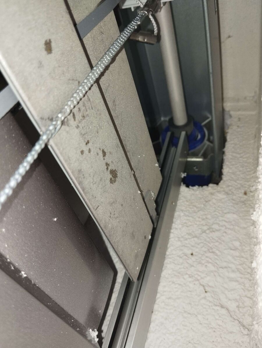 wespennest_entfernen