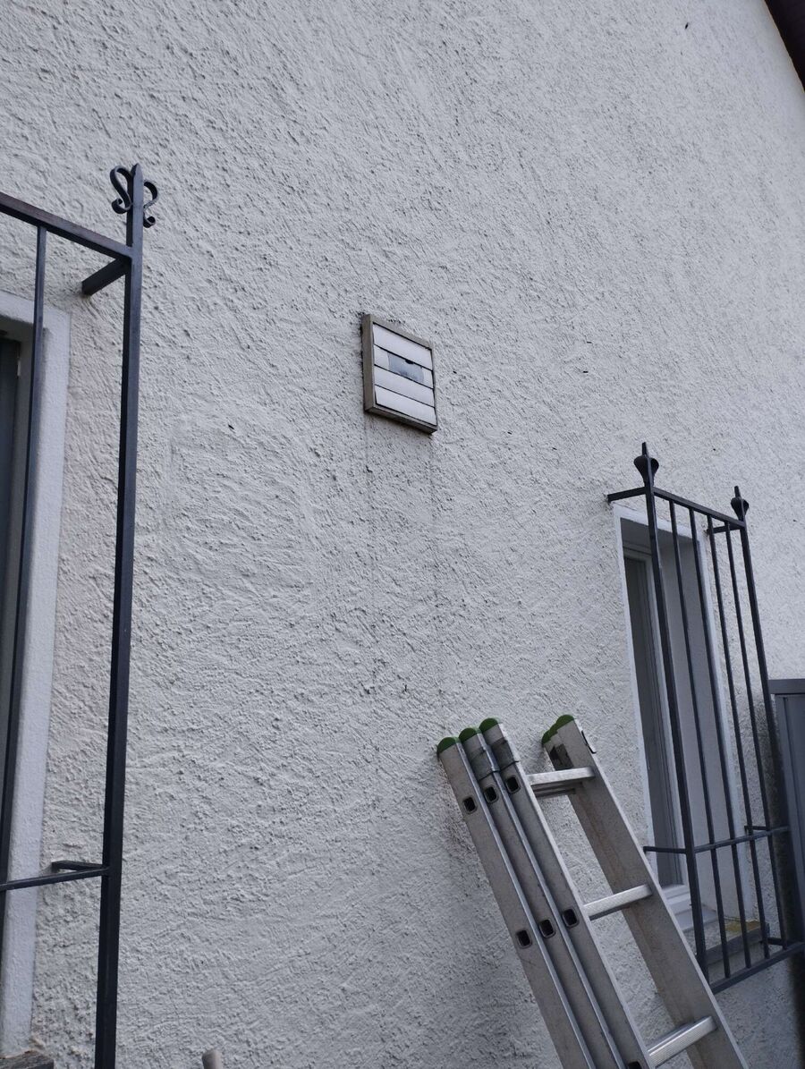 wespennest_entfernen