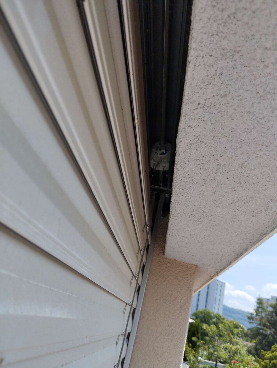 wespennest_entfernen