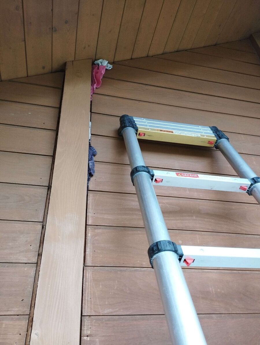 wespennest_entfernen