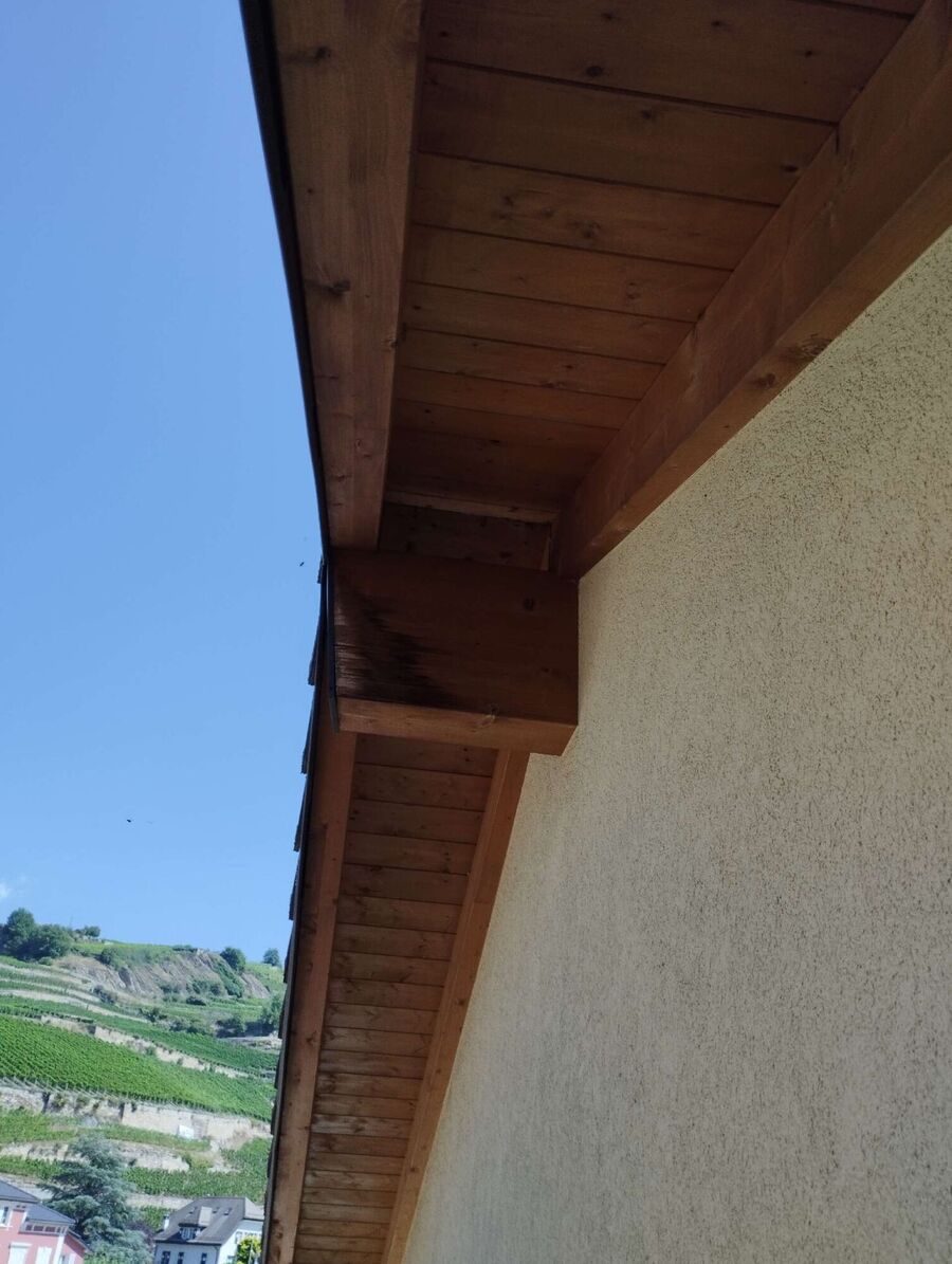 wespennest_entfernen