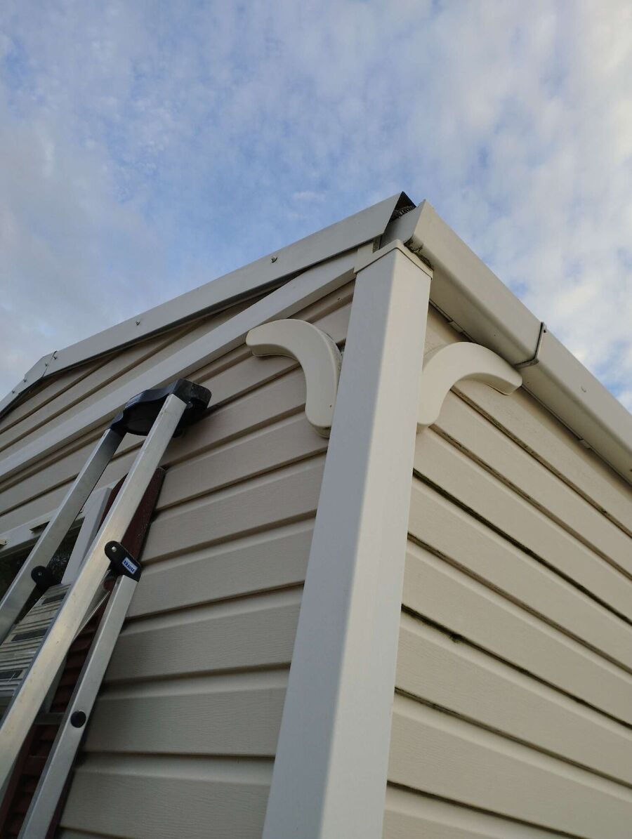 wespennest_entfernen