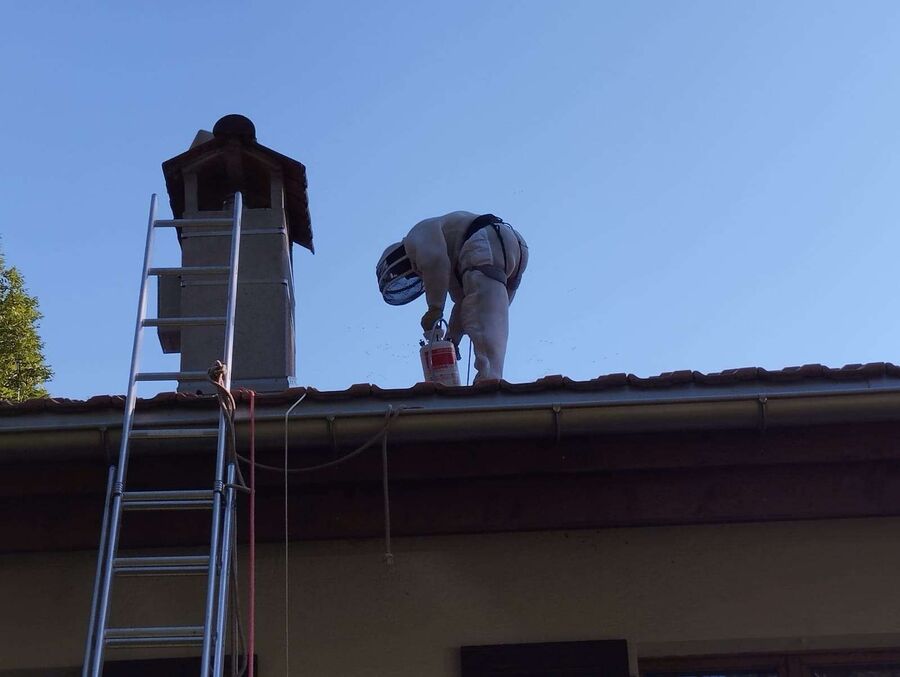 wespennest_entfernen