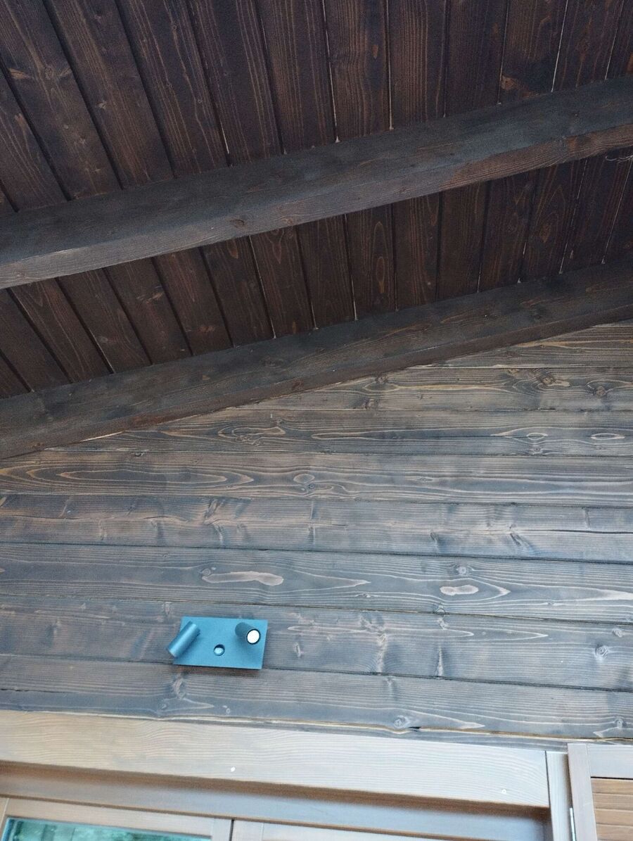 wespennest_entfernen