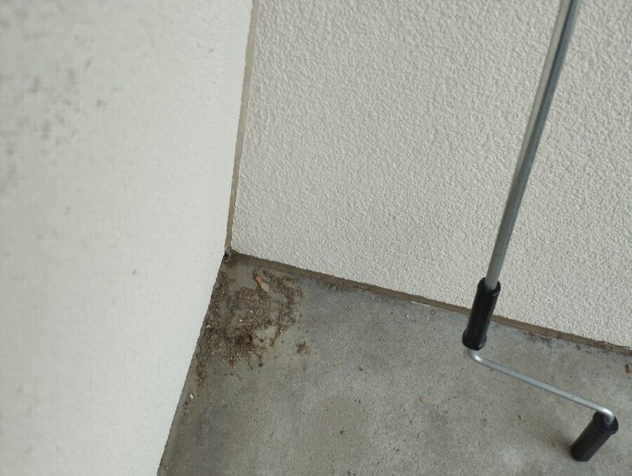 wespennest_entfernen