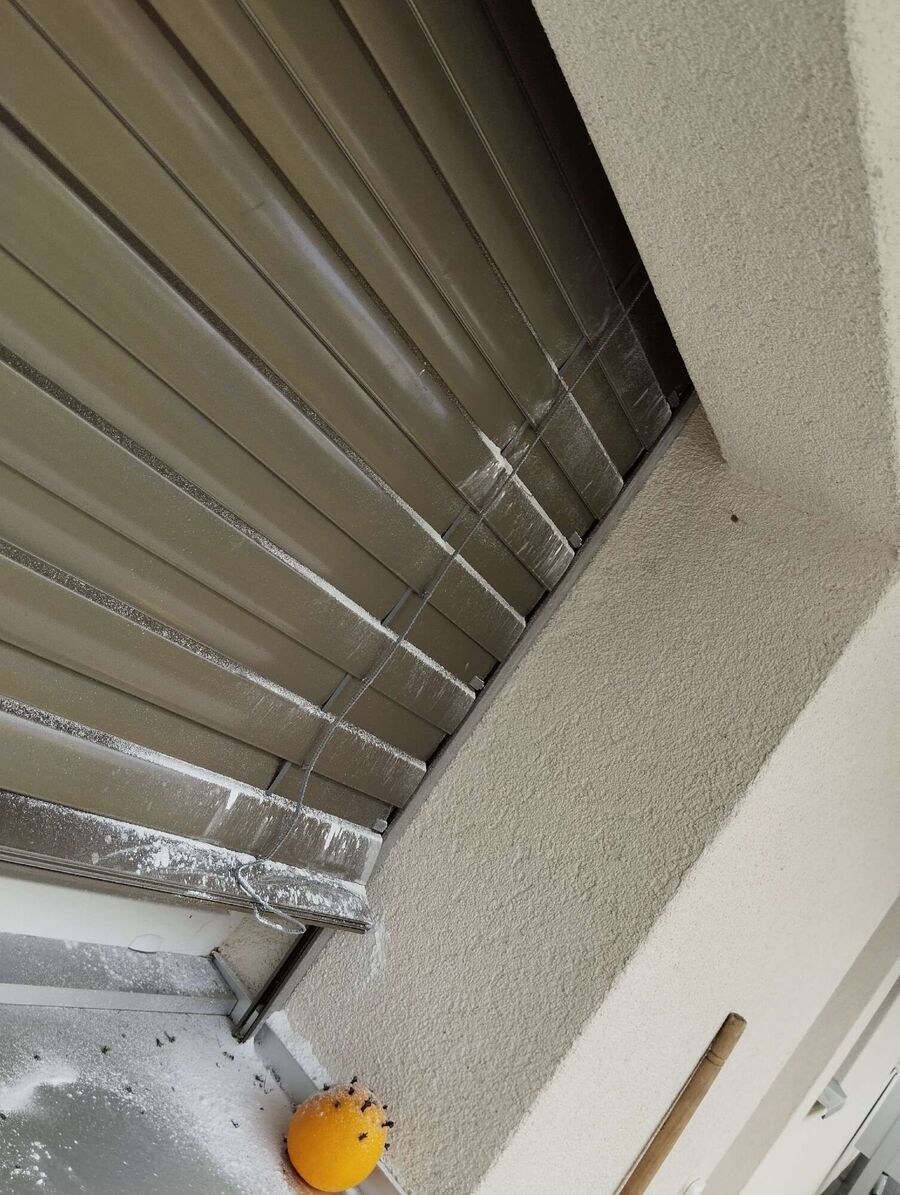 wespennest_entfernen