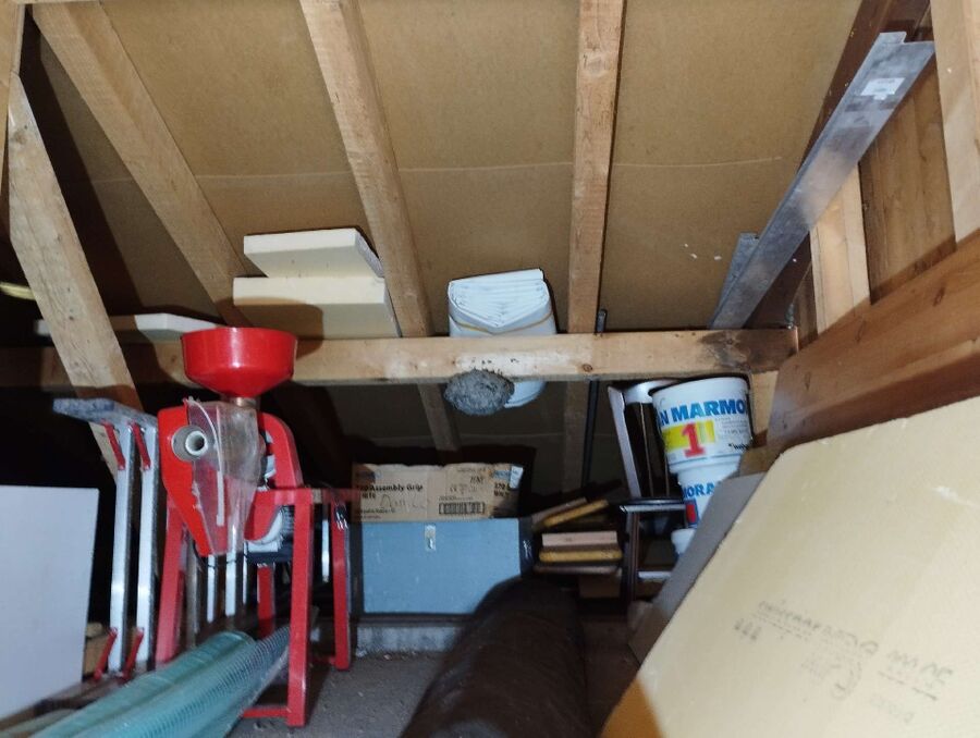 wespennest_entfernen