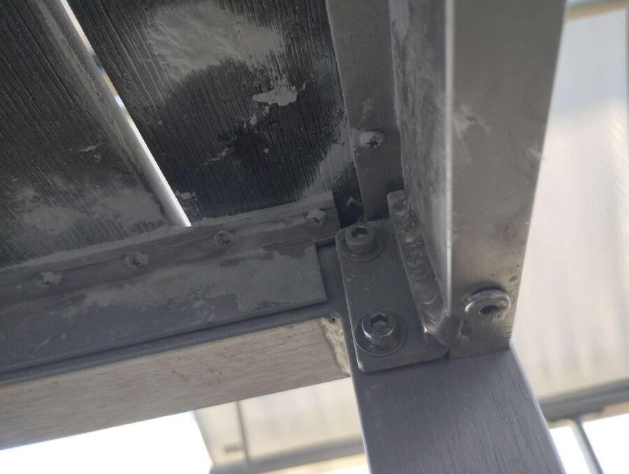 wespennest_entfernen