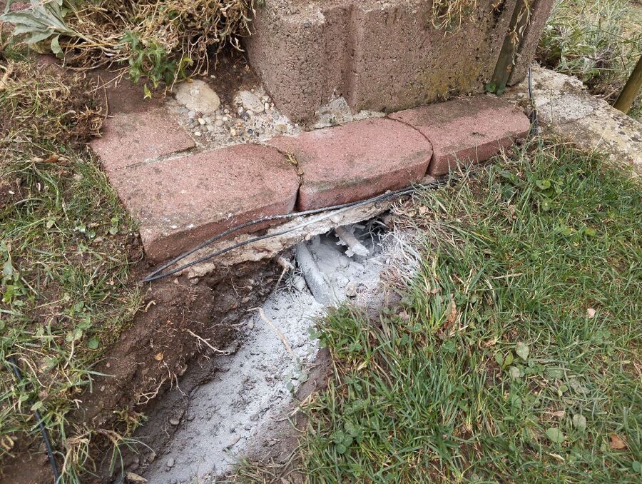 wespennest_entfernen