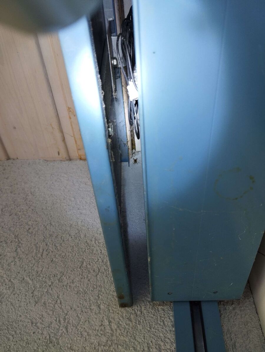 wespennest_entfernen