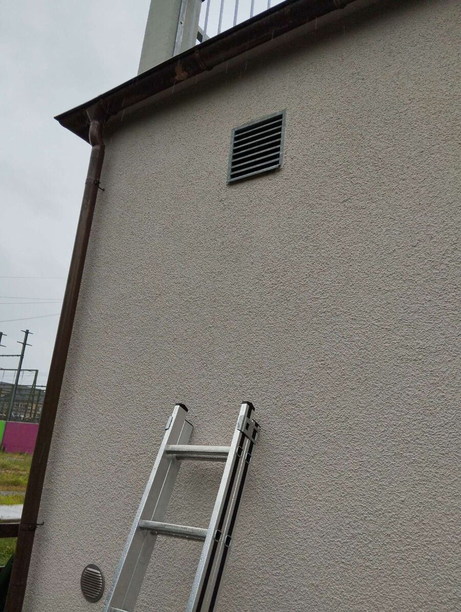 wespennest_entfernen