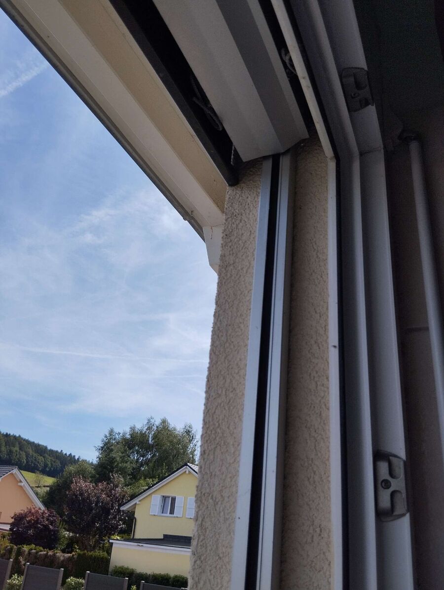 wespennest_entfernen