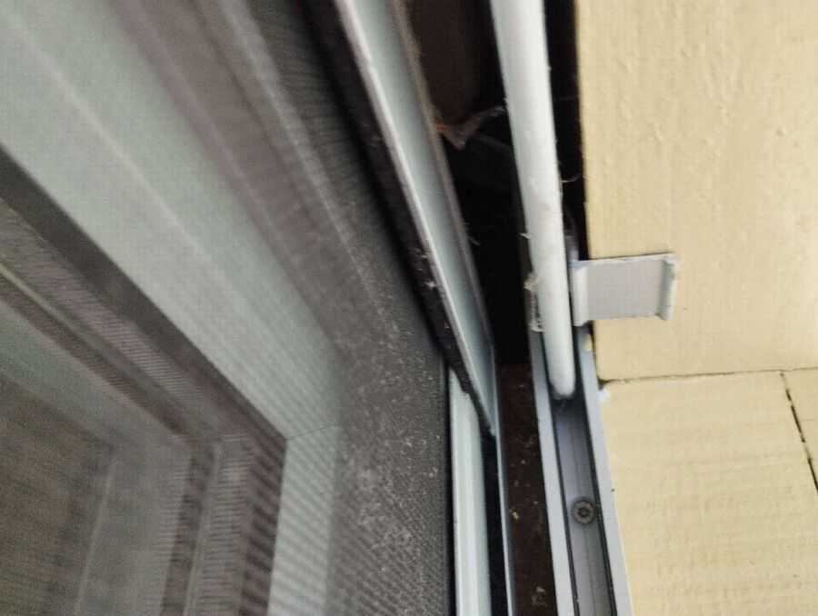 wespennest_entfernen