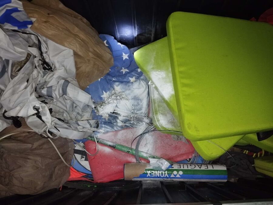 wespennest_entfernen