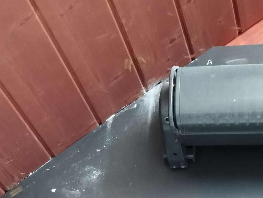 wespennest_entfernen