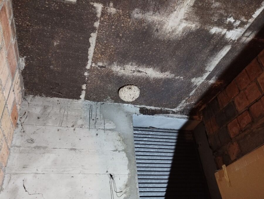 wespennest_entfernen