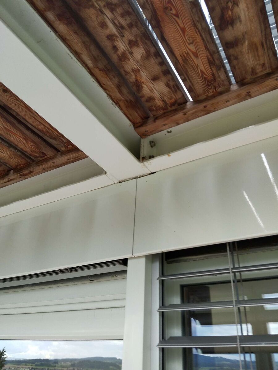 wespennest_entfernen