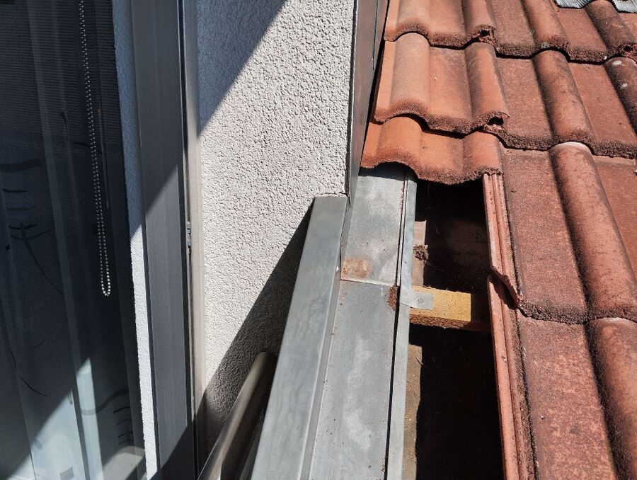 wespennest_entfernen