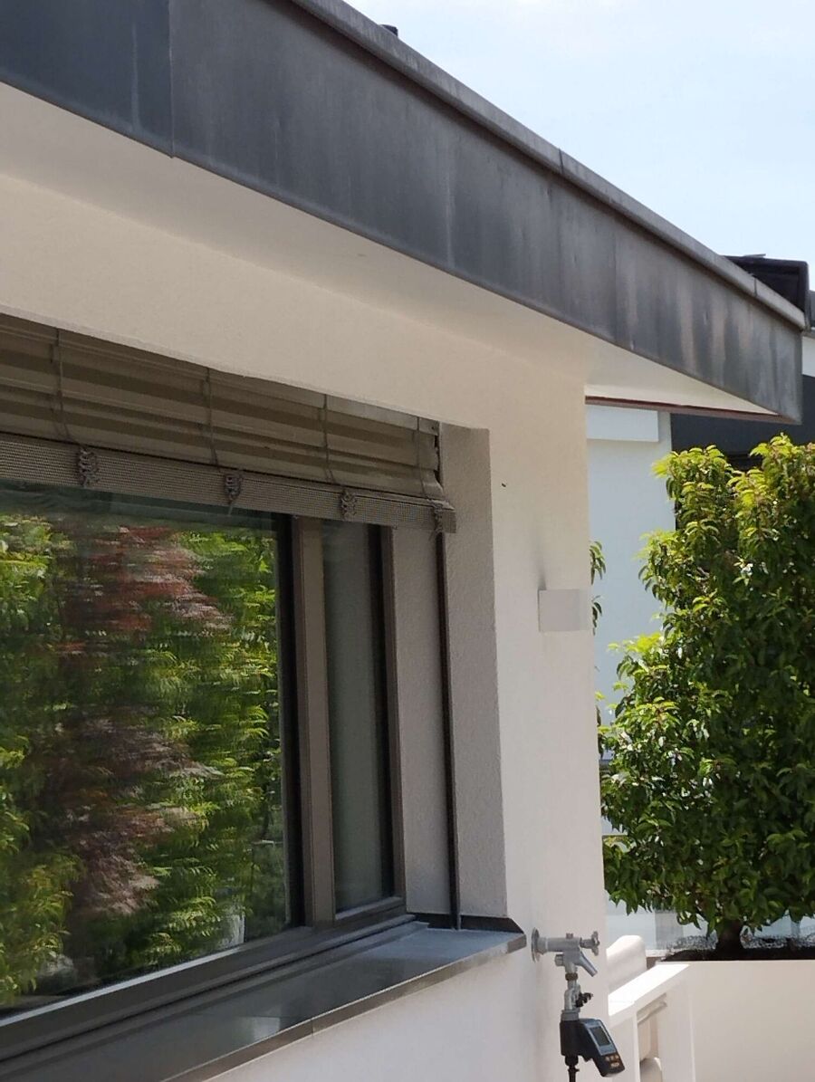 wespennest_entfernen