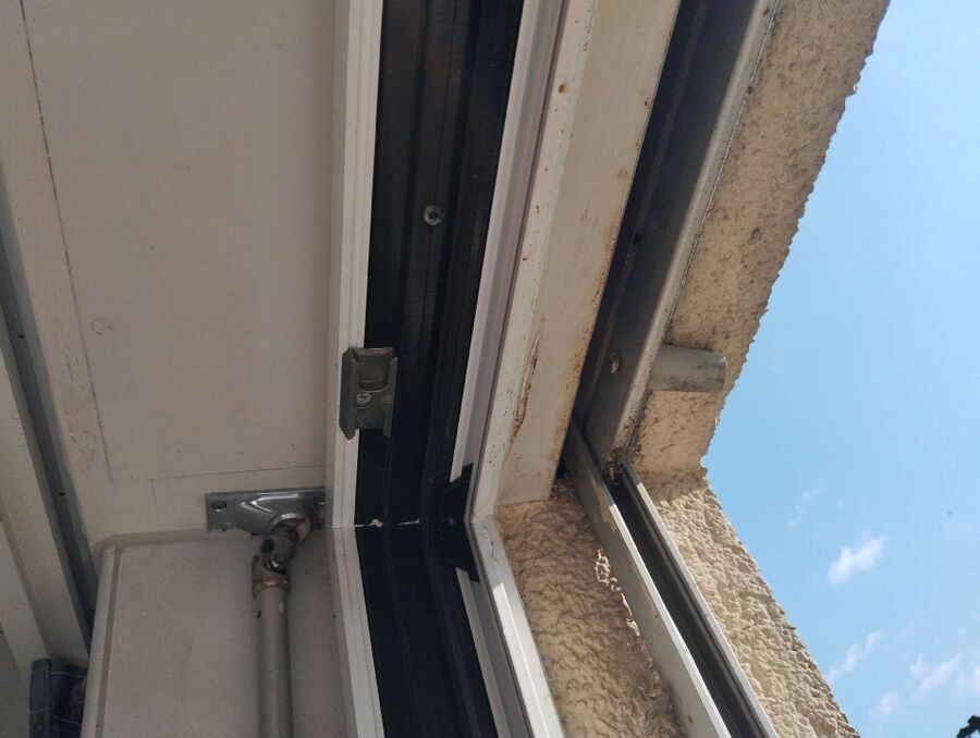 wespennest_entfernen