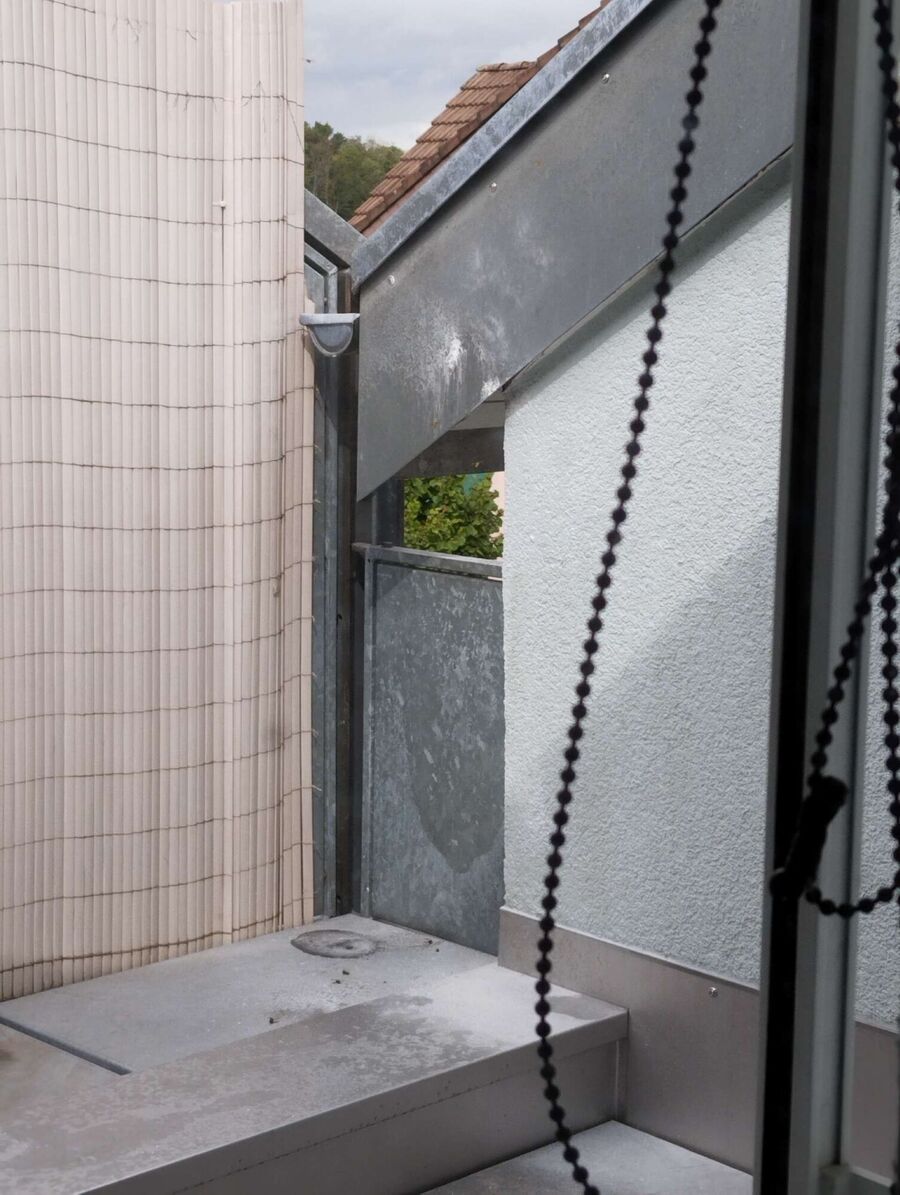 wespennest_entfernen