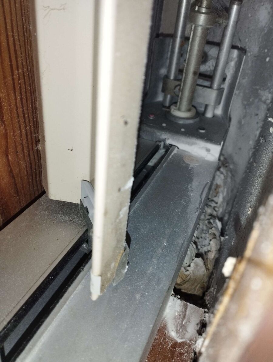 wespennest_entfernen