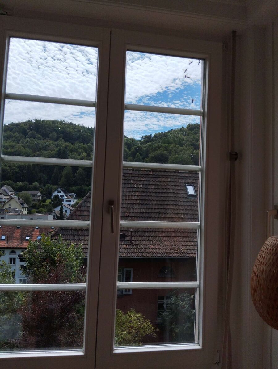 wespennest_entfernen