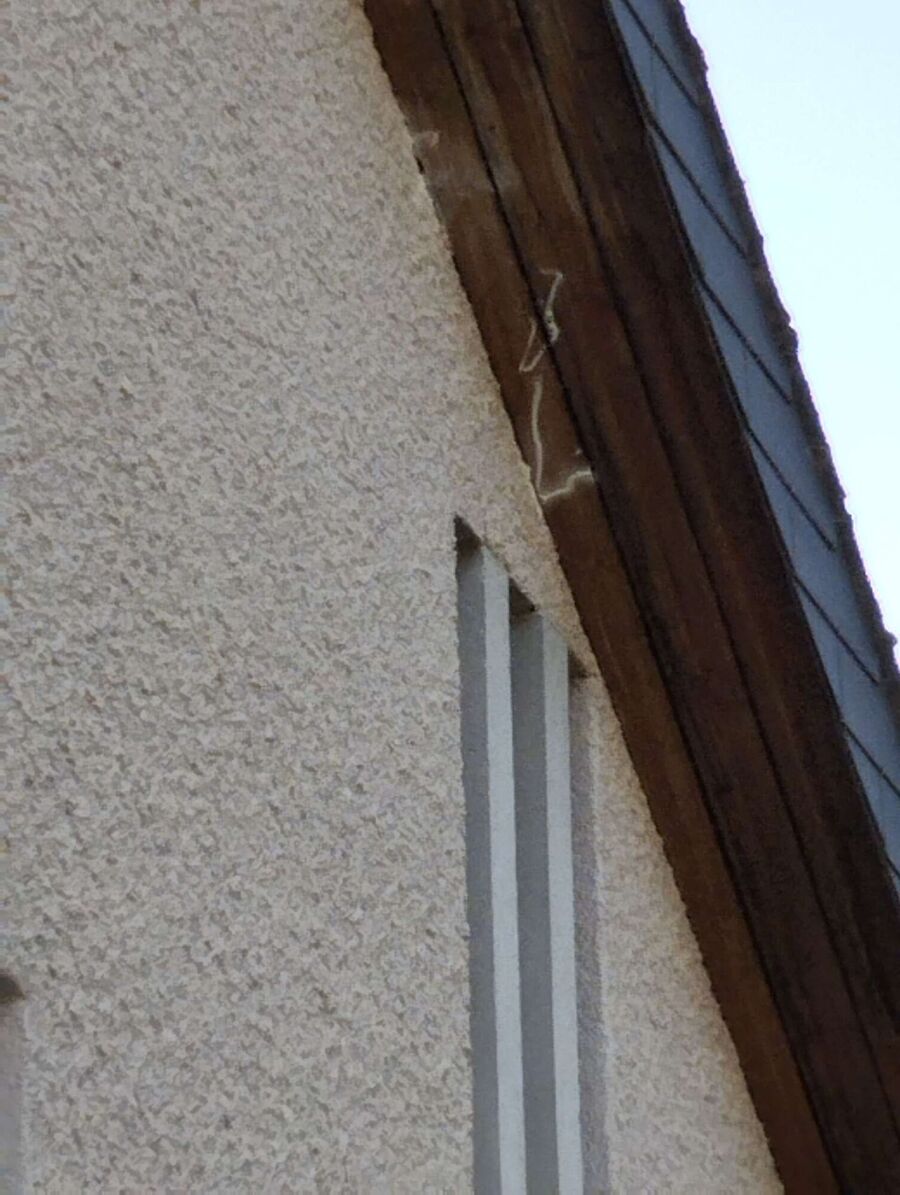 wespennest_entfernen